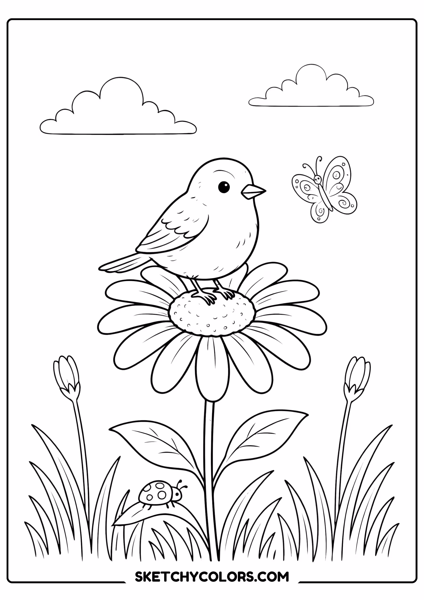 daisy coloring page bird sitting daisy flower free printable pdf