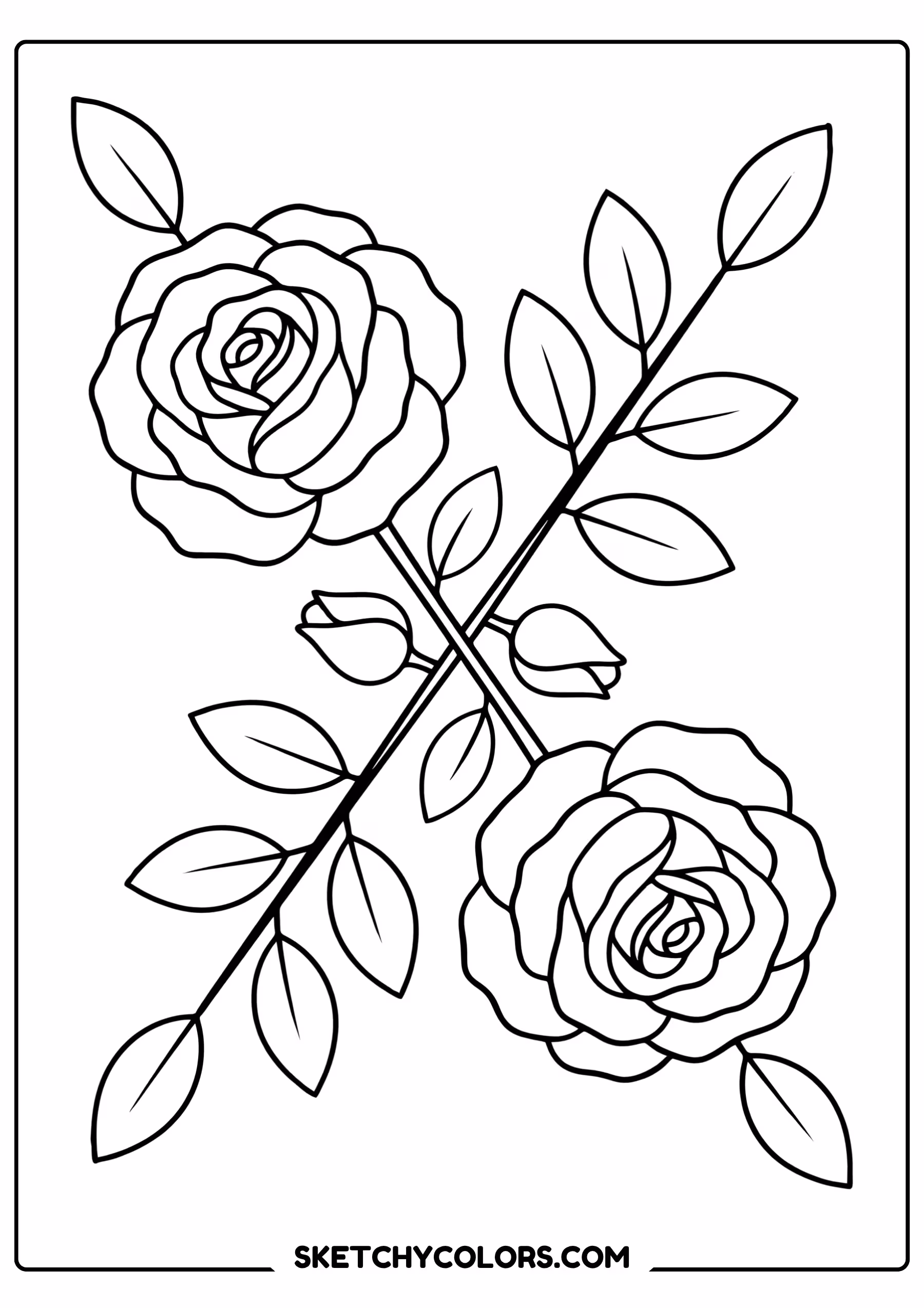 rose coloring page pair roses crossing stems blooms free printable for kids