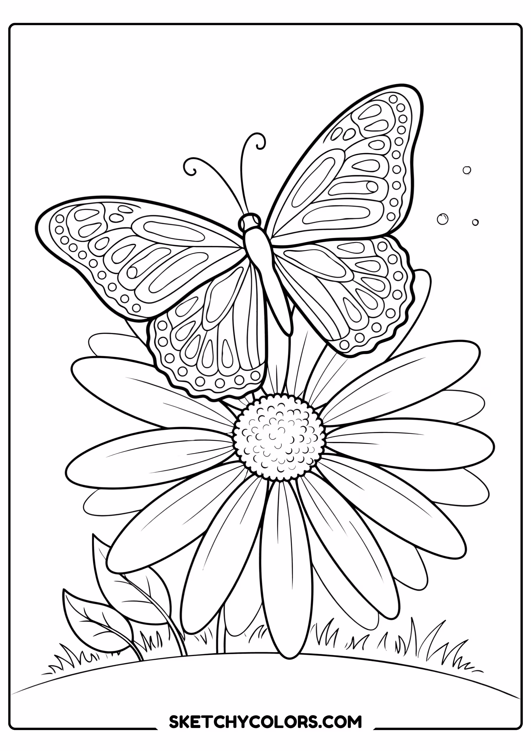 daisy coloring page butterfly landing daisy free printable pdf