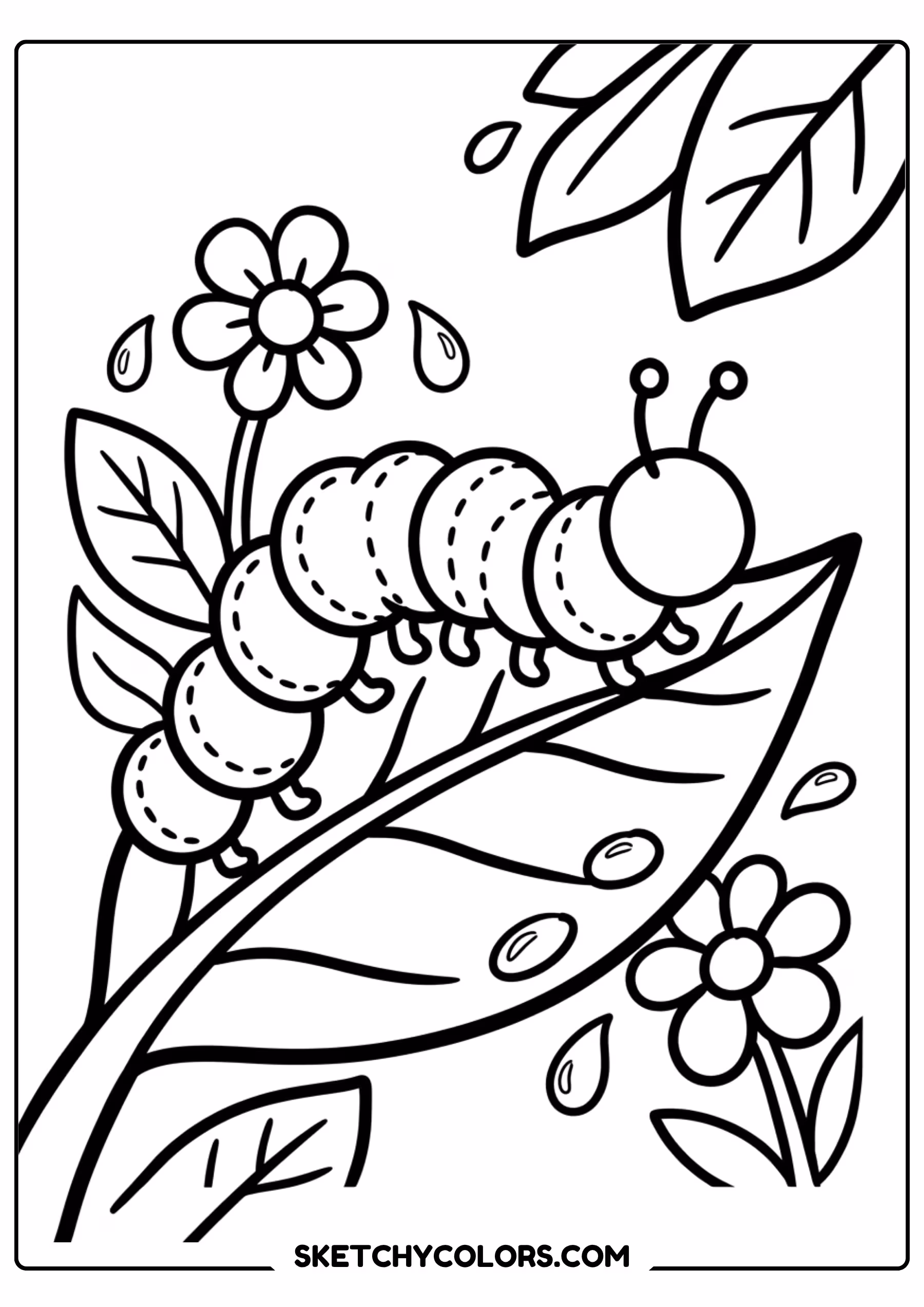 rainbow kangaroo coloring page printable