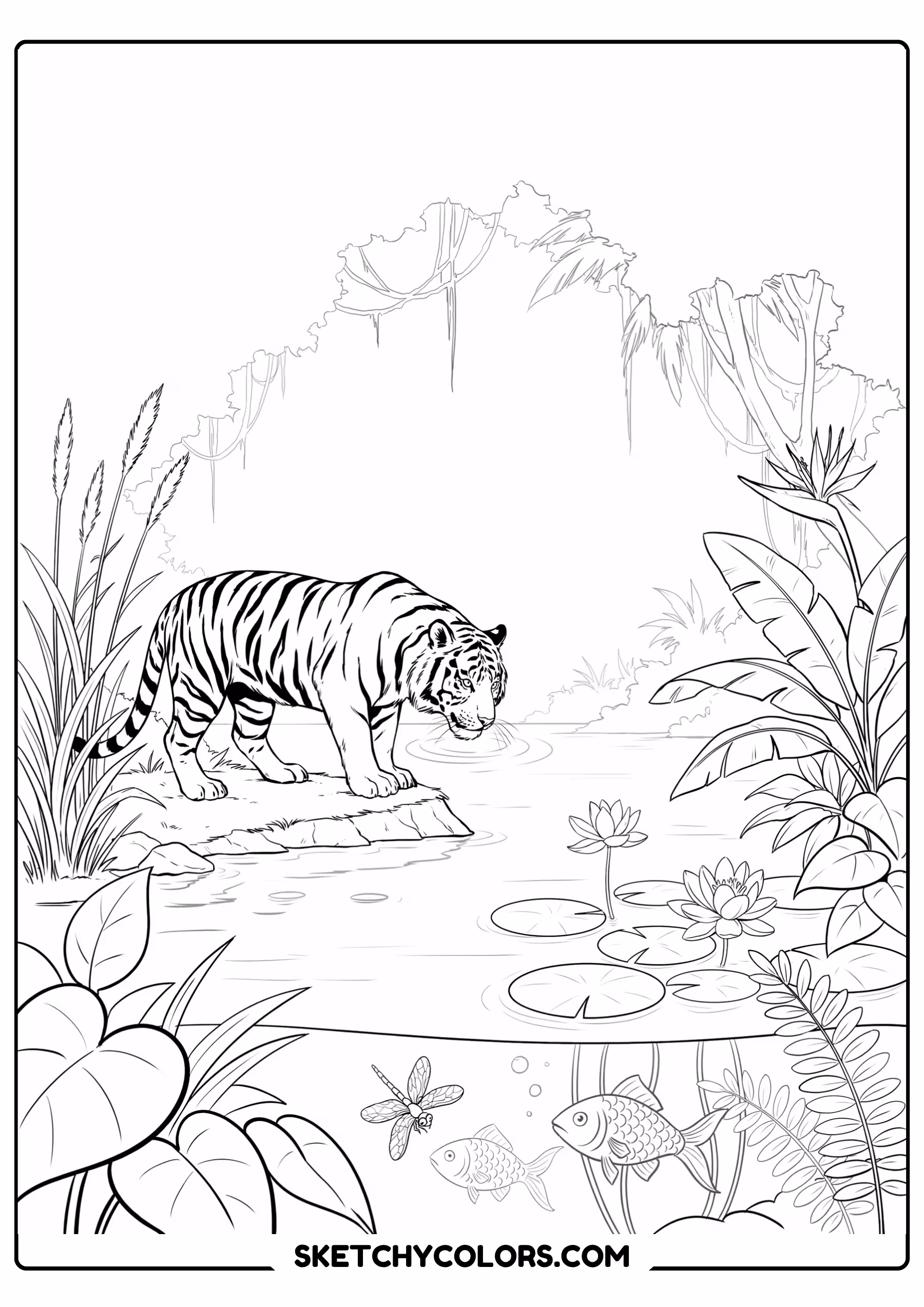 tiger drinking from river printable coloring sheet